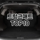 [추천안내]트렁크매트 추천 순위  TOP10 구매가이드 2025년 12월 5주차