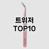 [베스트템]트위저 추천 순위  TOP10 구매가이드 2025년 7월 4주차