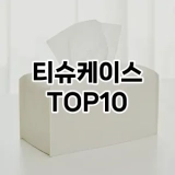 [솔직후기]티슈케이스 추천 순위  TOP10 구매가이드 2025년 4월 3주차